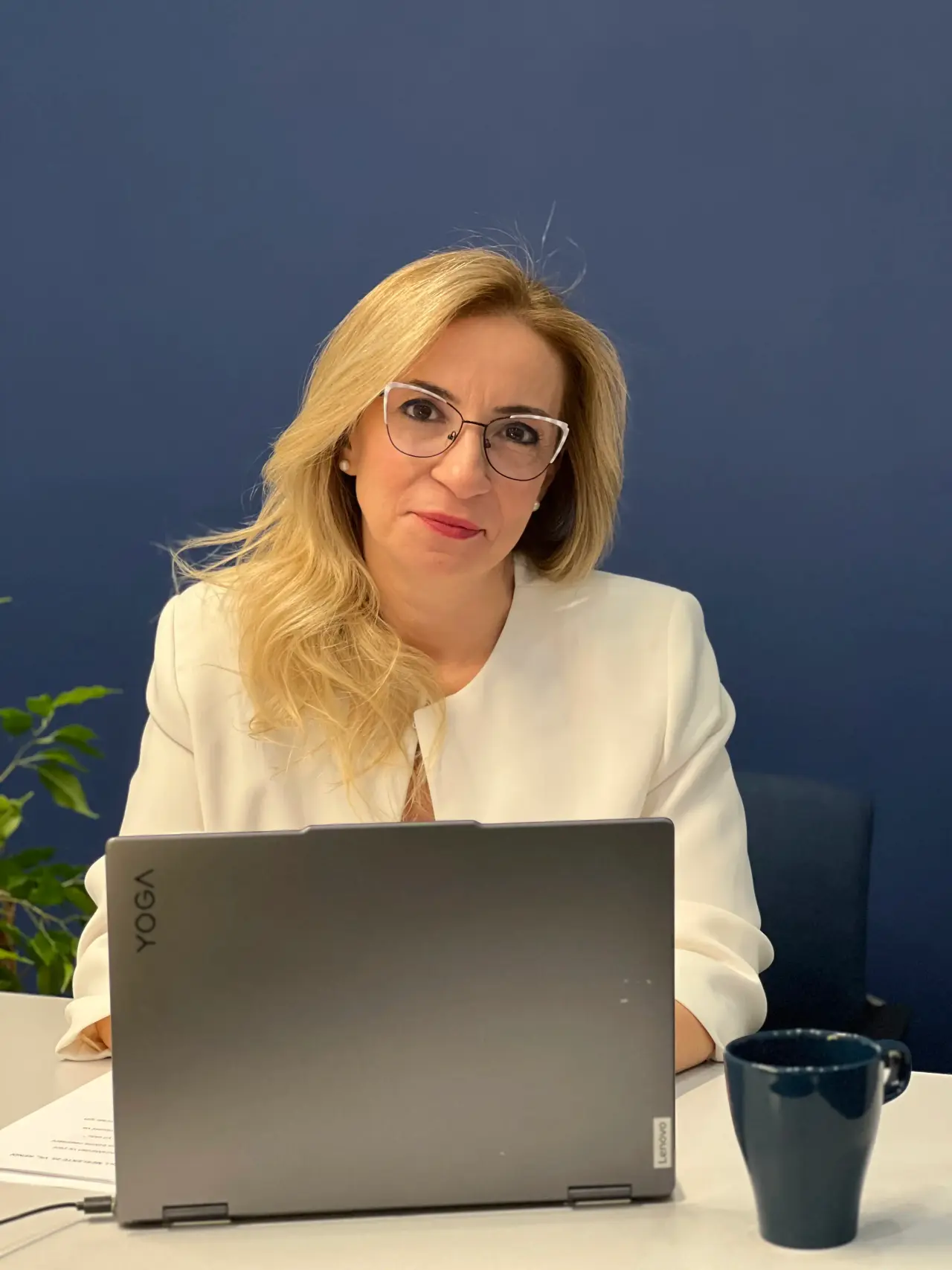 Didem Şatır Şendal, Human Vision Kurucusu ve Baş Danışmanı
